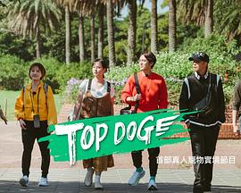 黑料专区《TOP DOG》免费在线观看