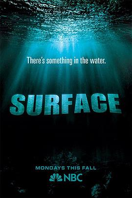 黑料专区《水下之秘 Surface》免费在线观看